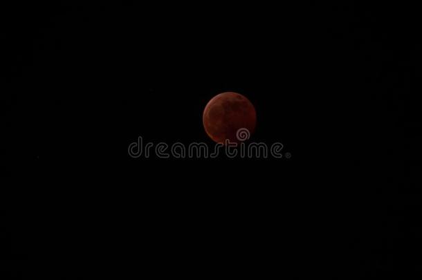 充分地红色的血月亮-超级的狼血月亮月的食在趺