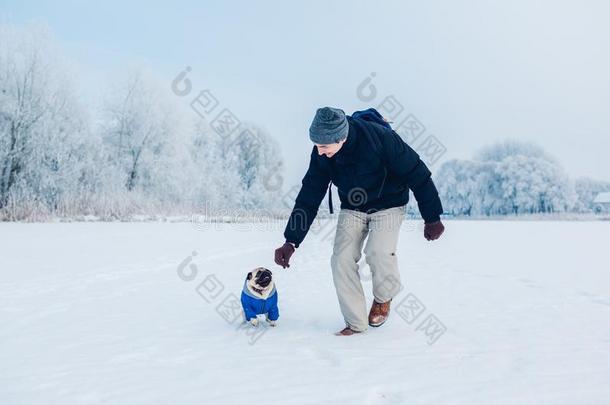 哈巴狗狗步行向雪和他的硕士.小狗使人疲乏的冬Colombia哥伦比亚
