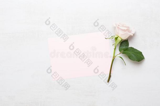 花作品.框架使关于粉红色的玫瑰向灰色背景.