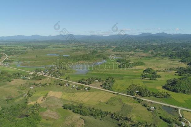 风景和稻台阶田.菲律宾,吕宋岛.
