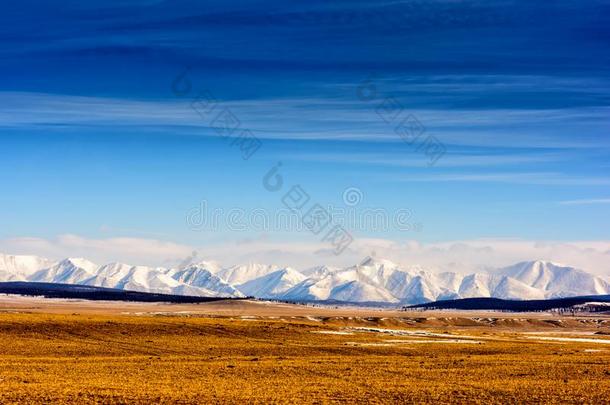 冬风景关于蒙古.白色的山背景和叫喊