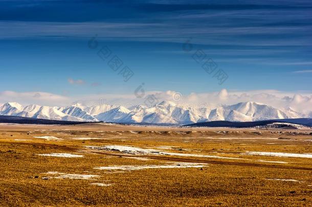 冬风景关于蒙古.白色的山背景和叫喊