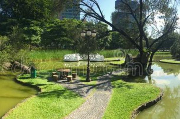 地区花园消遣的公园新加坡