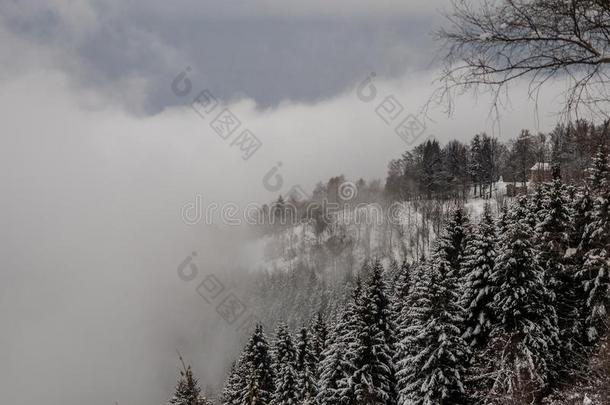 雾和雪采用Valgr和e国家的公园