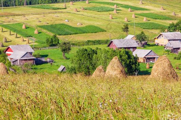 夏山村民郊外和干草堆