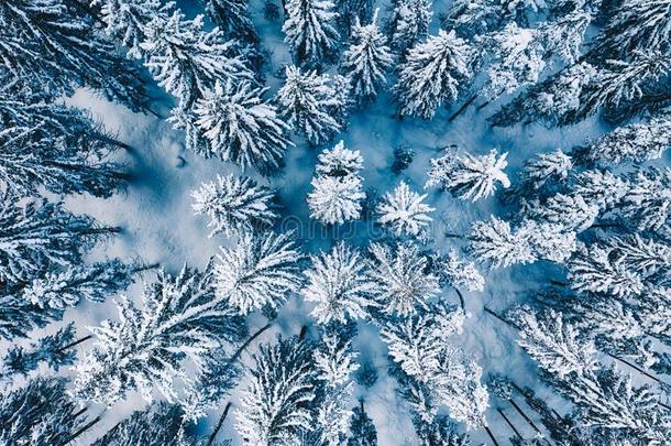 空气的.树和雪采用一w采用ter森林.N一tureb一ckground顶