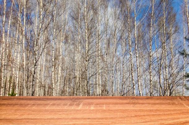 空的木制的表和变模糊春季背景关于桦树树