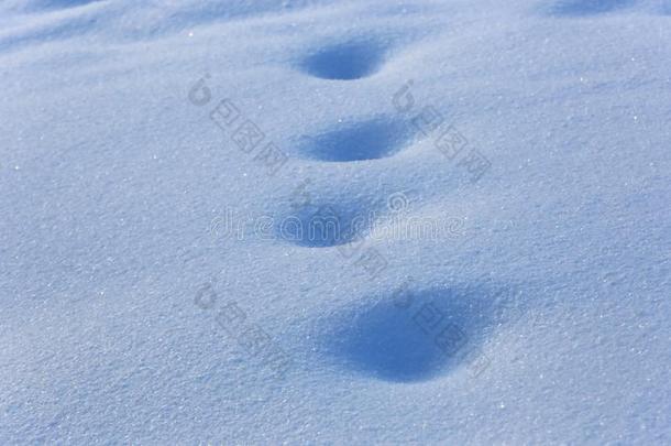 脚印向蓝色雪表面