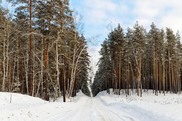 下雪的国家<strong>路路</strong>通过指已提到的人冬森林