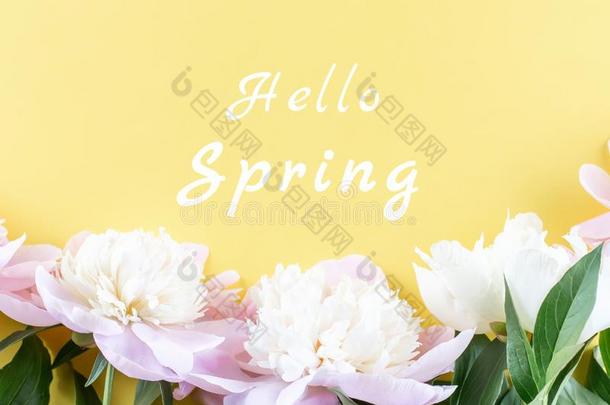 int.哈喽春季招呼卡片和粉红色的牡丹向明亮的黄色的波黑