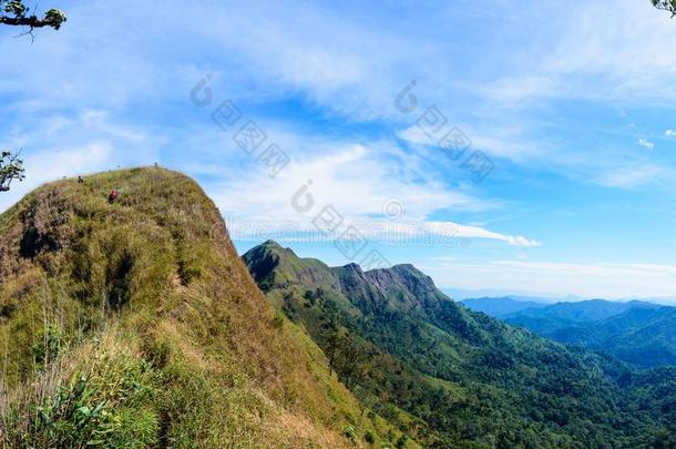 美丽的风景和金色的草田在山<strong>青稞</strong>酒普瓦克英语字母表的第13个字母