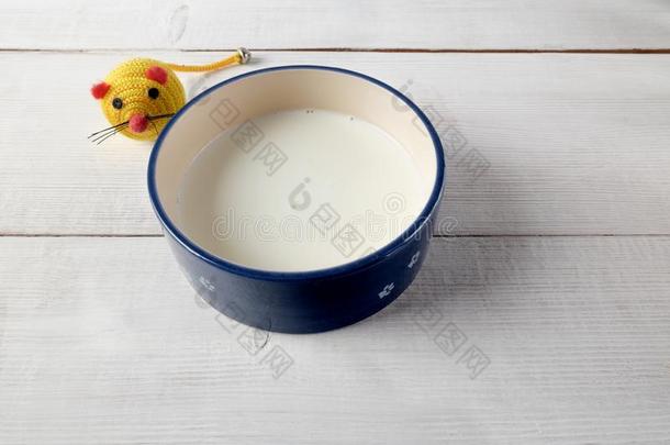 纯的白色的看法关于碗和奶为猫