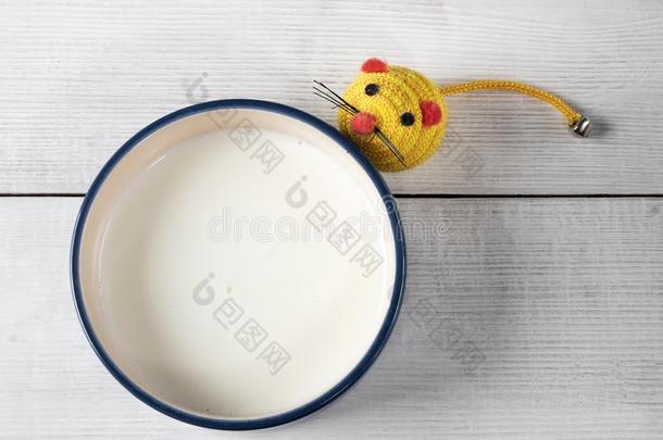 纯的白色的看法关于碗和奶为猫