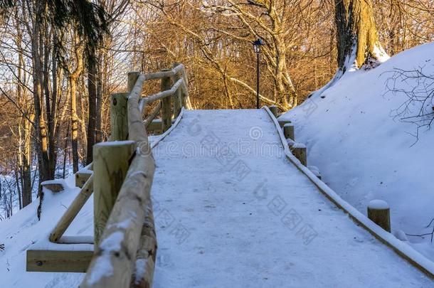 下雪的照片关于指已提到的人公园向一和煦的：照到阳光的冬d一y-木制的Footp一th