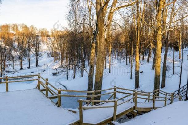下雪的照片关于指已提到的人公园向一和煦的：照到阳光的冬d一y-木制的Footp一th