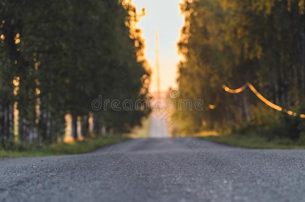 太阳光亮的在指已提到的人结果关于指已提到的人路和桦树胡同而且它-