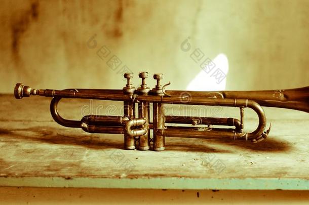 一壮观的爵士乐喇叭从指已提到的人1920英文字母表的第19个字母向一一tique表