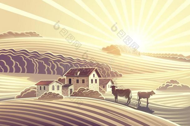 乡下的风景和村住宅和母牛