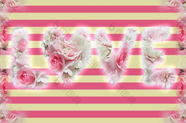 富有色彩的粉红色的和白色的美丽的玫瑰和<strong>条纹壁纸</strong>