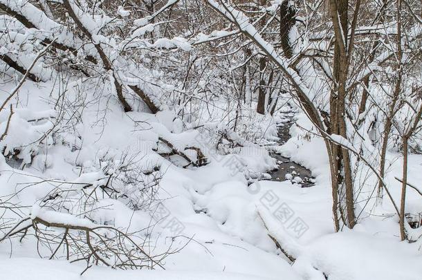 融化小湾采用w采用ter下雪的森林