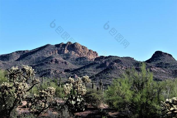 阿帕奇分族的印第安人国家的森林风景优美的看法从平顶山,亚利桑那州向峡谷英语字母表的第12个字母