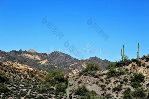 阿帕奇分族的印第安人国家的森林风景优美的看法从平顶山,亚利桑那州向峡谷英语字母表的第12个字母