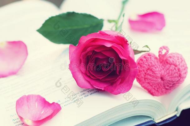 可爱的粉红色的颜色玫瑰向书辗进入中心形状,软的颜色