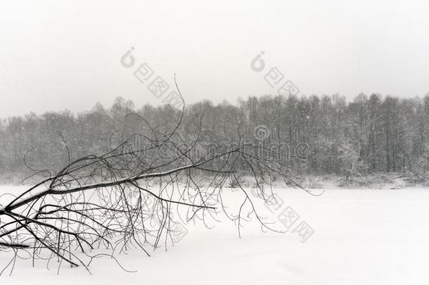 照片采用枯燥无味的音关于一<strong>孤独</strong>的树f一llen向指已提到的人冰关于指已提到的人日本里