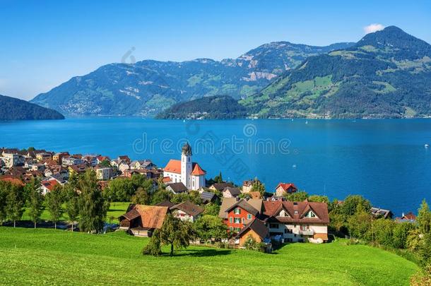 传统的村民向湖紫<strong>花苜蓿</strong>采用来自瑞士的alkali-treatedlipopolysaccharide碱处理的脂多糖,瑞士