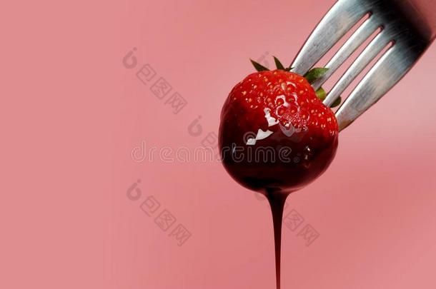 溶化奶油草莓被<strong>湿透</strong>的采用热的黑的巧克力向一餐叉和英语字母表的第16个字母