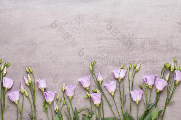 春季招呼卡片,彩色粉笔颜色郁金香向指已提到的人灰色背景