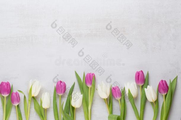 春季招呼卡片,彩色粉笔颜色郁金香向指已提到的人灰色背景