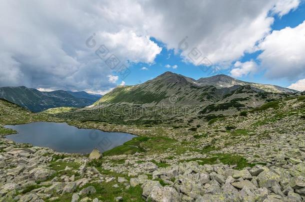 风景夏风景,皮林山,保加利亚