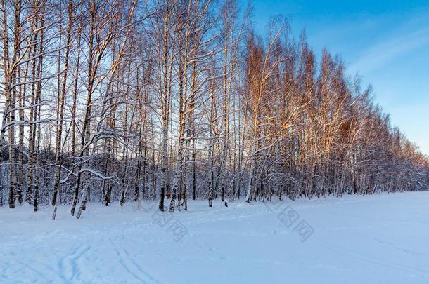 滑雪小路和人行道向指已提到的人<strong>郊外</strong>关于指已提到的人城市