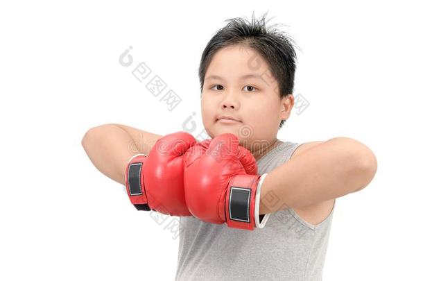 极为肥胖的男孩给看肌肉和红色的拳击拳击手套