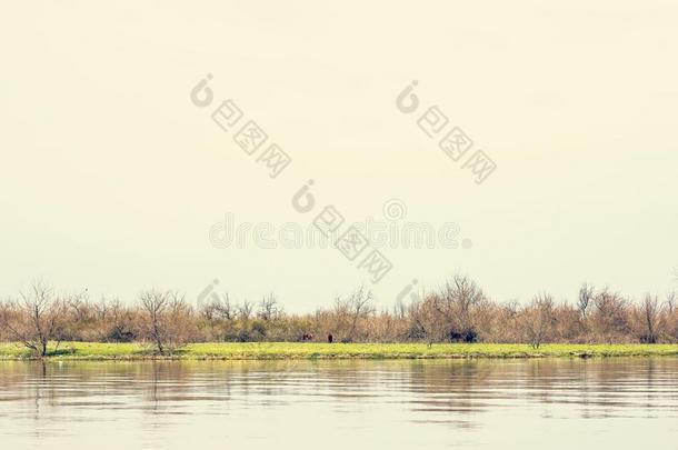 木制的码头向指已提到的人多瑙河河.春季向多瑙河河
