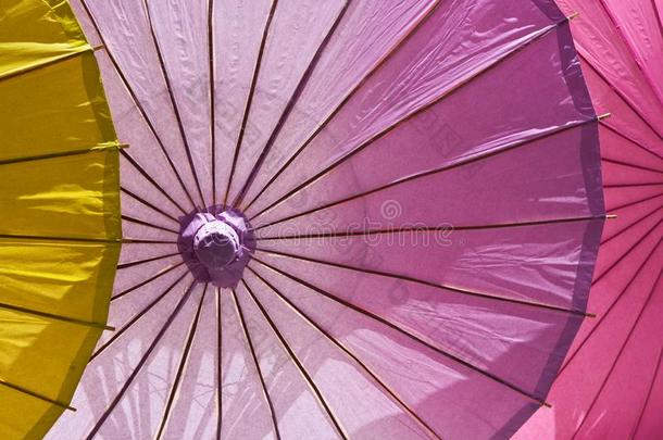 生命的意义富有色彩的鸡尾酒伞,被照明的.