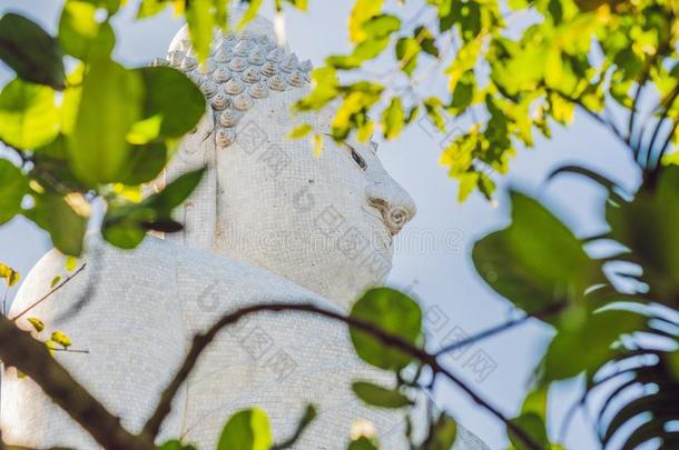 大的佛雕像用来表示某人或某物即主语本身build的过去式和过去分词向一高的小山顶关于普吉岛Th一il一nd