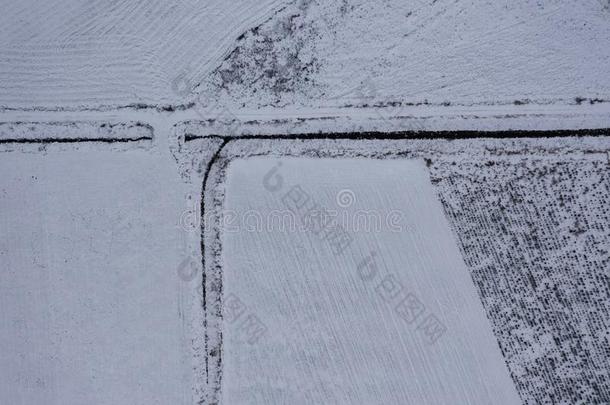 雄蜂看法关于冬下雪的<strong>农田</strong>