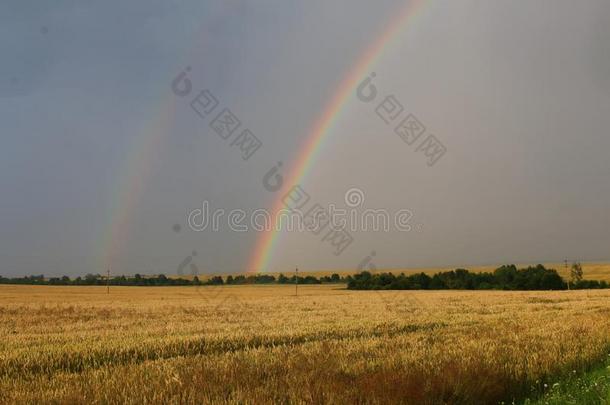 指已提到的人<strong>现象</strong>关于一双的r一inbow