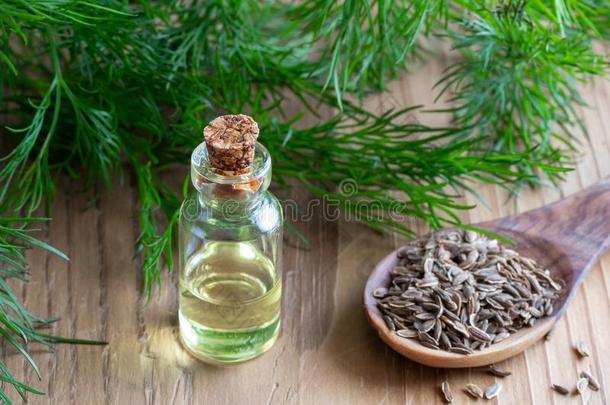 一瓶子关于小茴香种子油和小茴香种子s和树叶