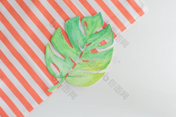 夏观念背景透明水彩画蓬莱蕉叶子条纹毛巾