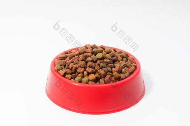 红色的碗和干的干燥的动物食物为catalogues商品目录或公狗向白色的后台