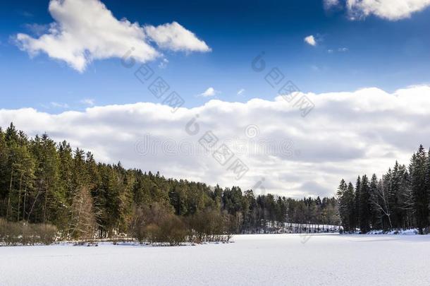 男士湖湖在冬季节.奥地利