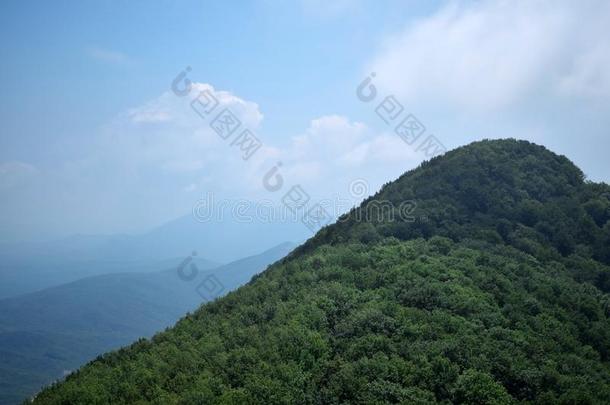 山大量的和森林反对指已提到的人蓝色天