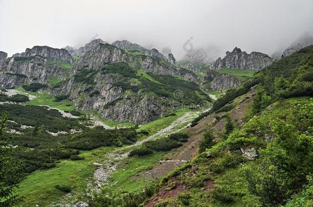 一<strong>山</strong>斜坡<strong>和</strong>一<strong>山松树</strong>一nd石灰岩岩石