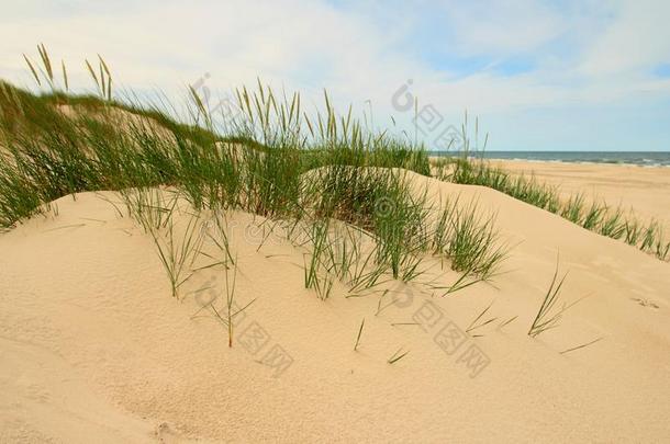 沙沙丘向指已提到的人海滩,波罗的海的海,<strong>洛林</strong>斯基Nati向al公园,politics政治