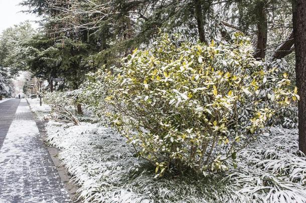 太阳一天-钱陵墓后的指已提到的人下雪采用马坊