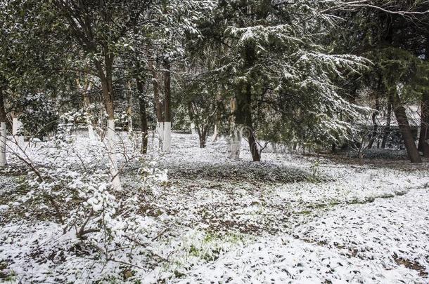 下马坊风景后的指已提到的人雪