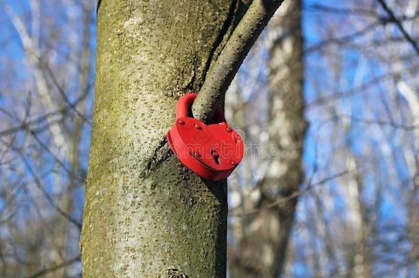 门锁采用指已提到的人形状关于红色的心悬向一树